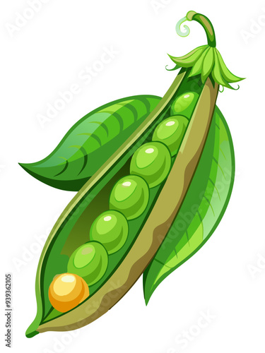 green peas, pea vector, illustration of pea isolated on white background