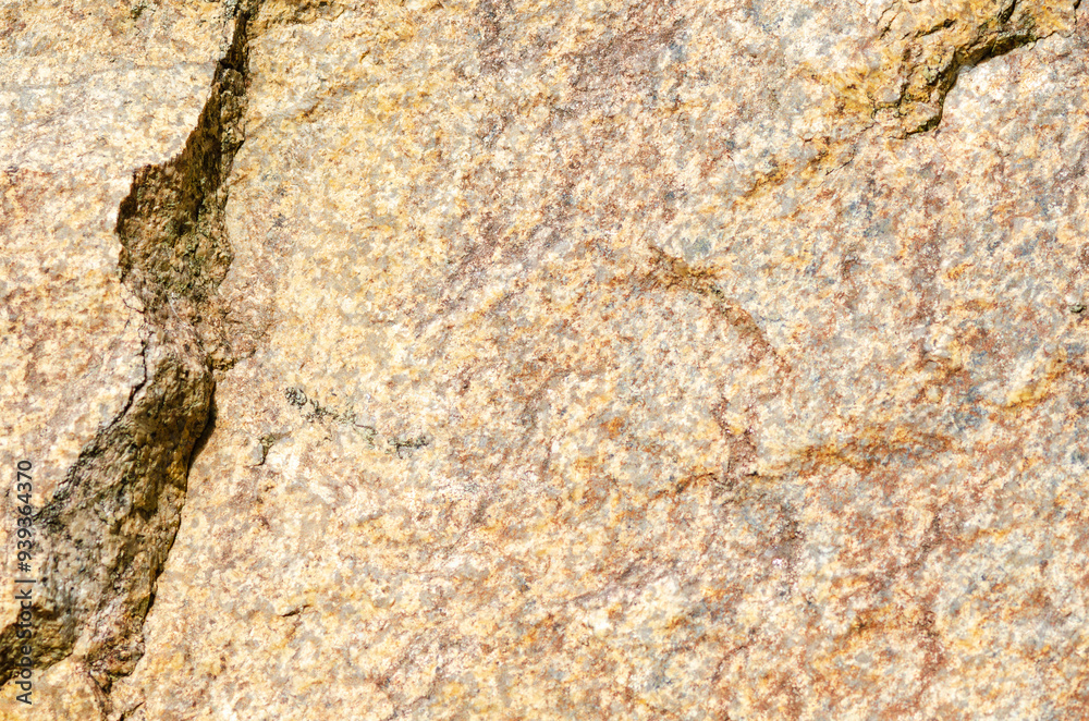 Naklejka premium 岩の表面のテクスチャ