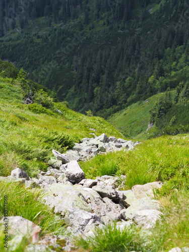 Fototapeta Naklejka Na Ścianę i Meble -  A rocky path winds through a vibrant green valley, surrounded by distant mountain ranges, capturing the essence of a rugged and adventurous trek in nature.