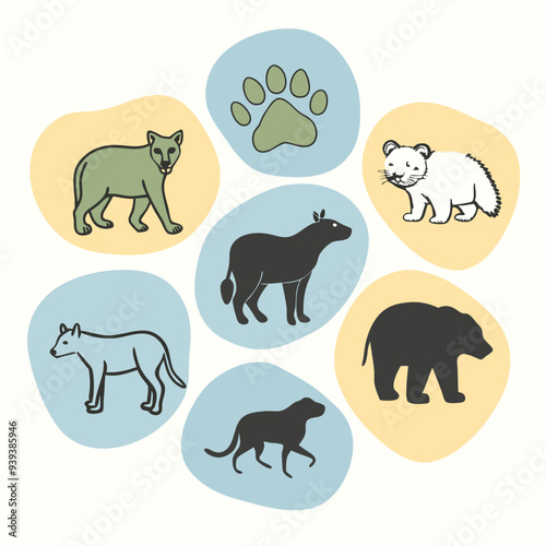 Photography set of animals