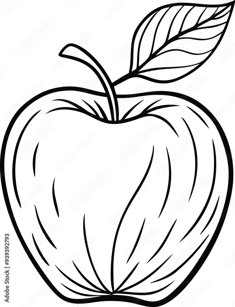apple fruit line art illustration black and white apple fruit line art illustration black and white