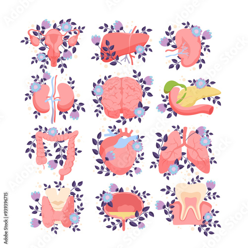 Human anatomy with blooming flowers set. Structure of internal organs and blossoms collection, education diagram of healthy kidney liver pancreas bladder lungs intestine cartoon vector illustration