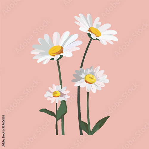 daisy flower set cartoon. white nature plant, summer floral, spring blossom, yellow chamomile, petal camomile, beautiful daisy flower vector illustration