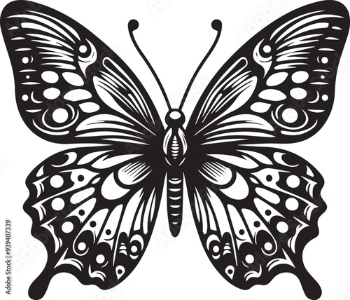 Butterfly vector illustration silhouette