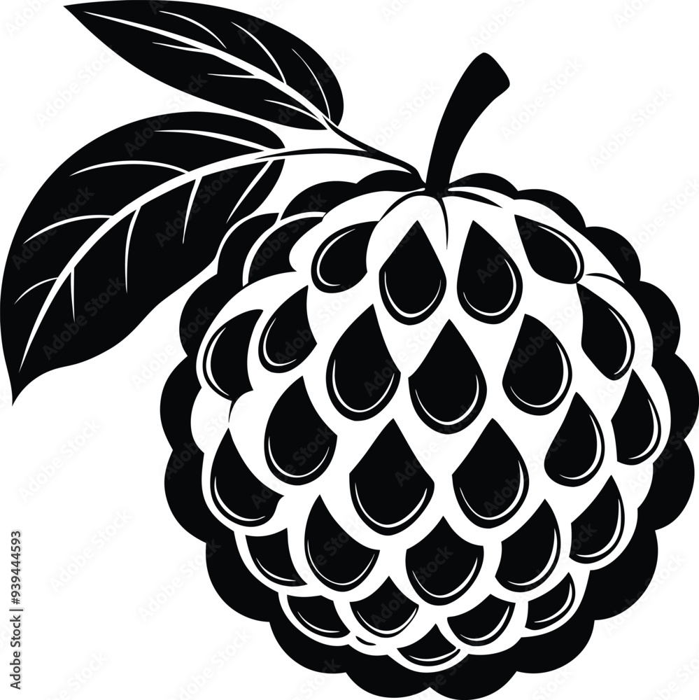 Atemoya fruit silhouette illustration black and white