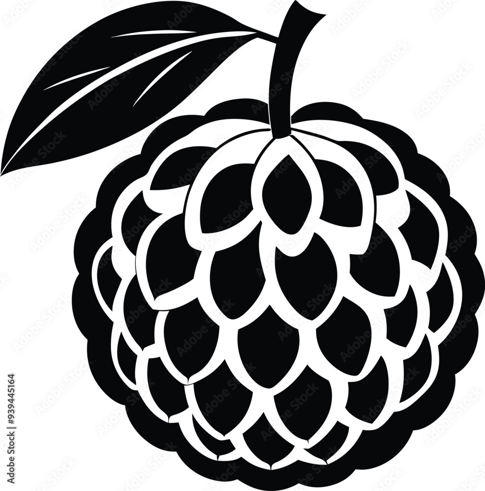 Atemoya fruit silhouette illustration black and white