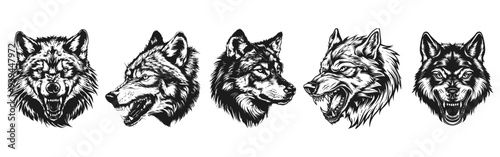 wolf heads vector set