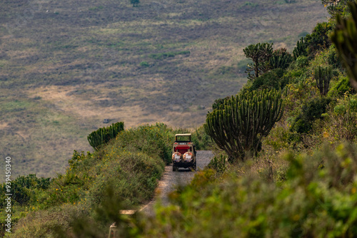 Safari at the Ngorongoro Conservation Area, Tanzania