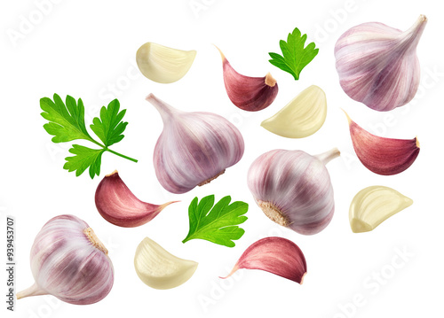 Fototapeta Naklejka Na Ścianę i Meble -  Garlic isolated set. Collection of garlic, garlic cloves and parsley leaves on transparent background.