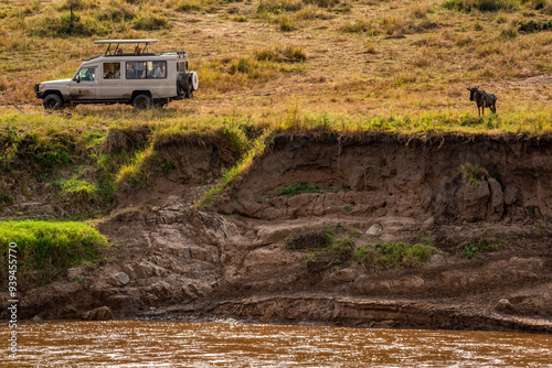 Photography Wildebeest migration at Serengeti National Park, Tanzania