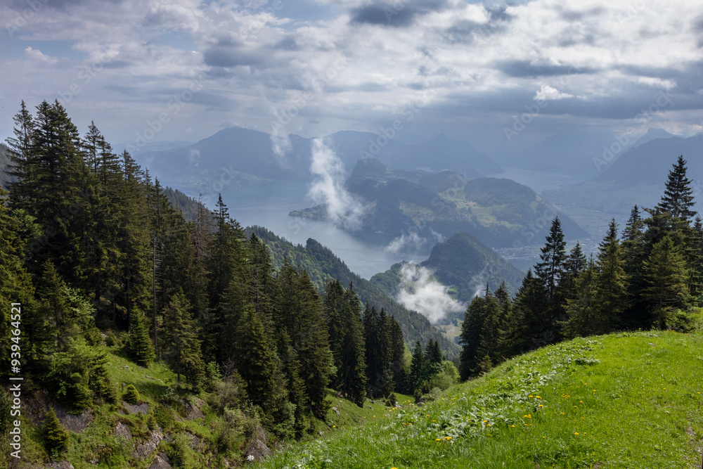 Obraz premium Platus