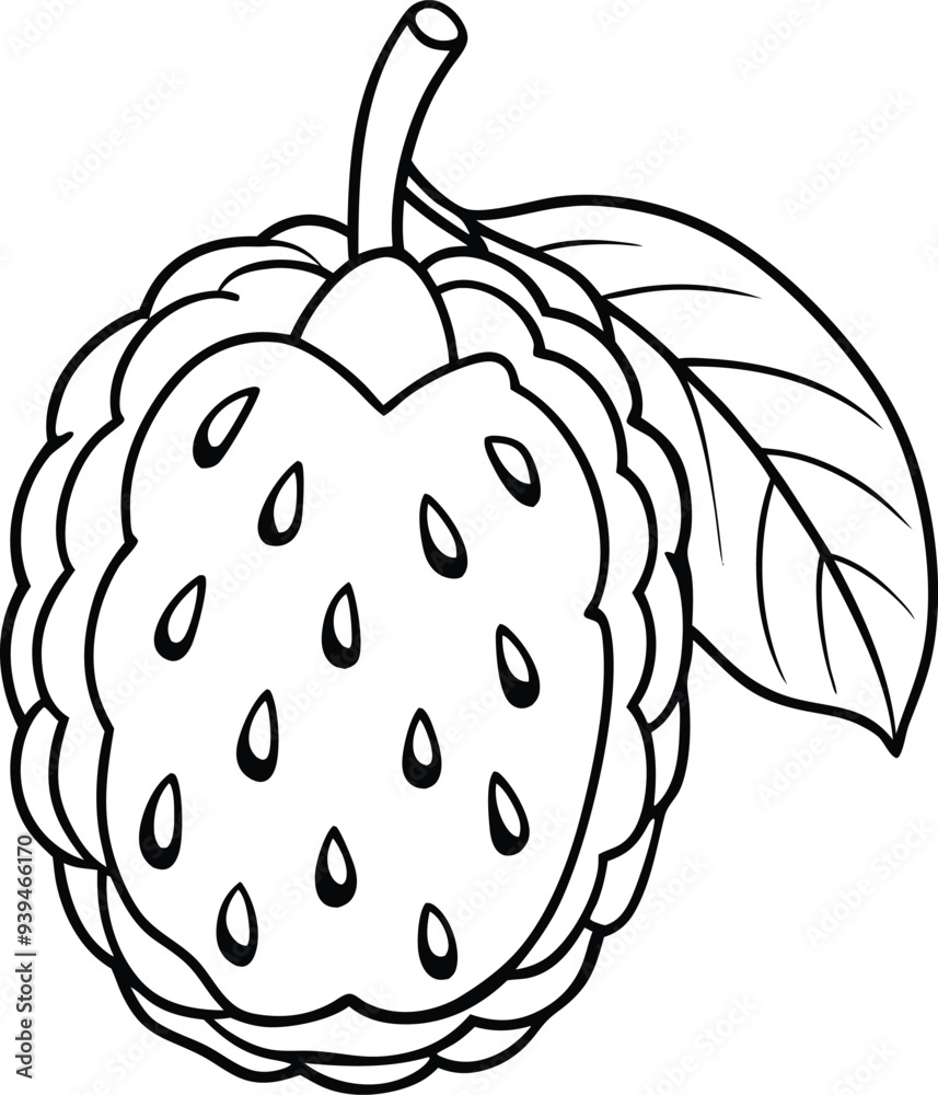 Atemoya fruit line art illustration black and white Atemoya fruit line art illustration black and white
