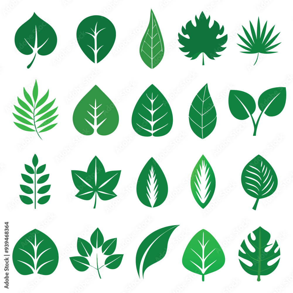 Set of different style simple tree leaves icon set vector illustrations on a white background Set of different style simple tree leaves icon set vector illustrations on a white background