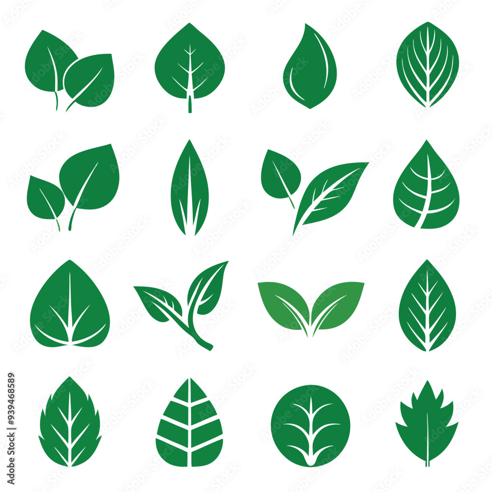 Set of different style simple tree leaves icon set vector illustrations on a white background Set of different style simple tree leaves icon set vector illustrations on a white background