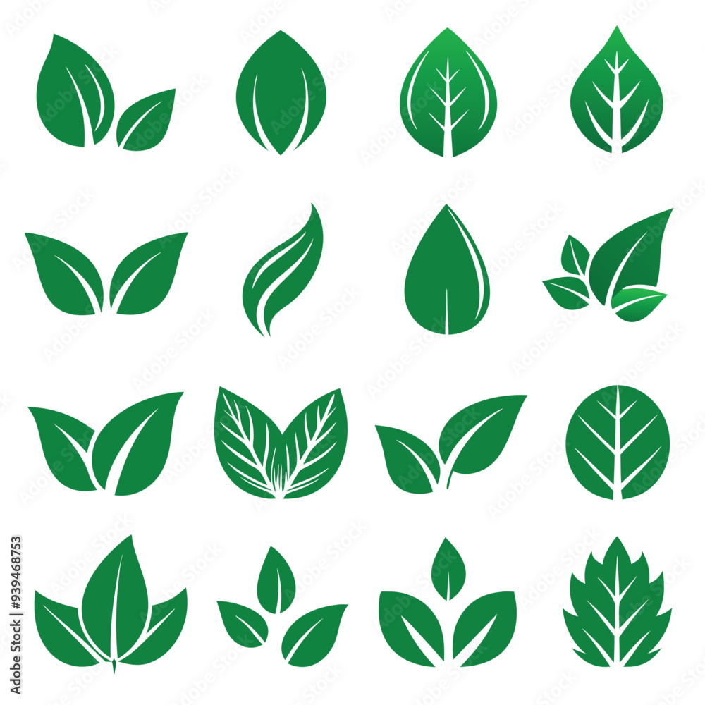 Set of different style simple tree leaves icon set vector illustrations on a white background Set of different style simple tree leaves icon set vector illustrations on a white background