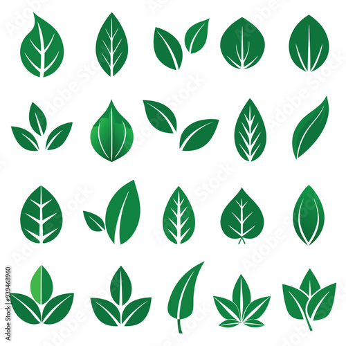 Set of different style simple tree leaves icon set vector illustrations on a white background