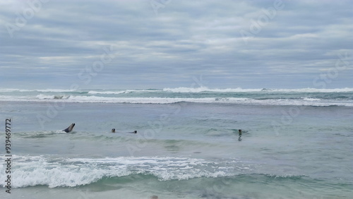 Coastal landscape of the Kangaroo Island