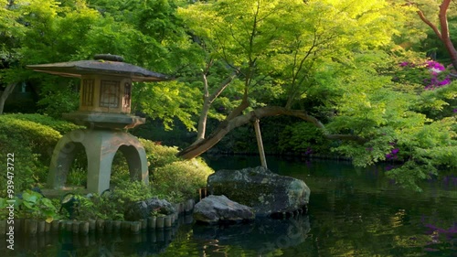 gimbal shot of a traditional zen Japanese garden in Tokyo in summer with a pond and Japanese maples trees, sunshine in Japanese garden, decorative garden in Tokyo