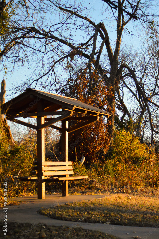 Bench in trees Bench in trees