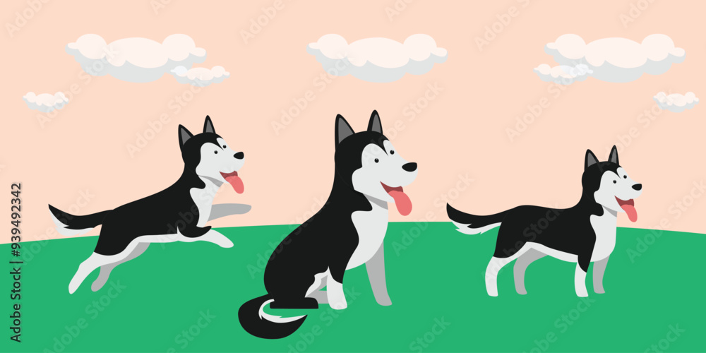 Adorable Siberian Husky Dogs in Various Poses Adorable Siberian Husky Dogs in Various Poses