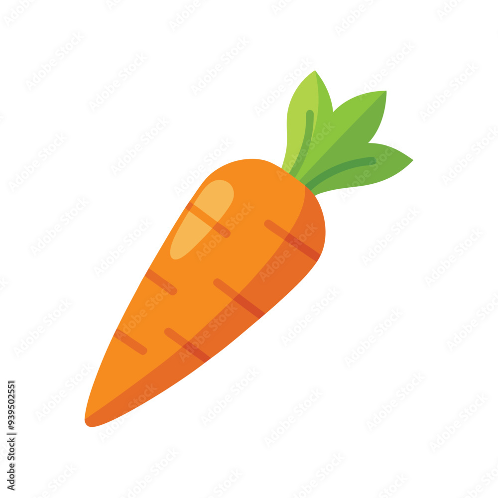 Carrot vector illustration on white background, Fresh vegetable isolated, Whole carrot vector illustration, Cartoon drawing of whole carrot isolated on white background. Food, nutrition, diet concept Carrot vector illustration on white background, Fresh vegetable isolated, Whole carrot vector illustration, Cartoon drawing of whole carrot isolated on white background. Food, nutrition, diet concept