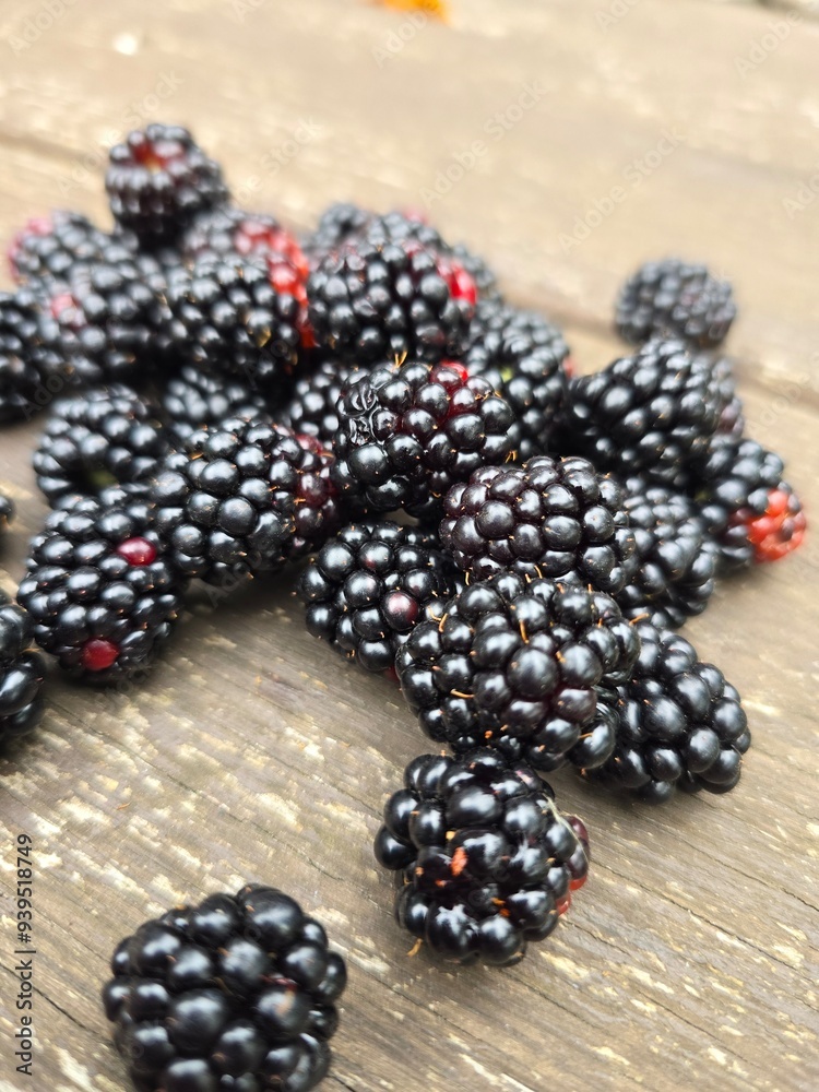 Blackberries on a branch with a blurred natural background.