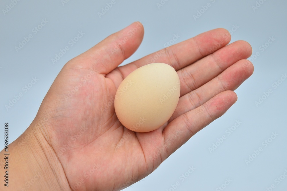 A hand holding a brown egg with a carton of similar eggs in the background, highlighting the simplicity and natural appeal of fresh produce A hand holding a brown egg with a carton of similar eggs in the background, highlighting the simplicity and natural appeal of fresh produce