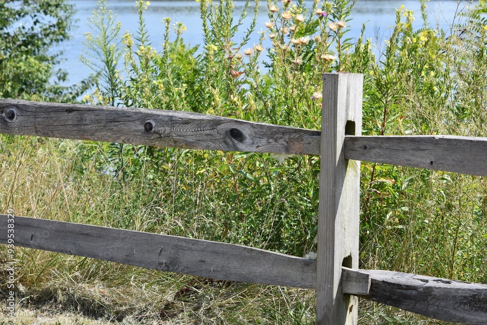 split rail fence with summer plants grasses scene split rail fence with summer plants grasses scene