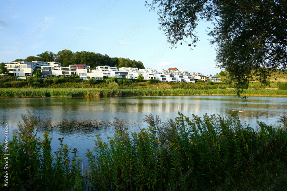 Fototapeta premium Dickicht und Pflanzenwuchs am ufer des Phoenix-See im Licht der Abendsonne mit Blick auf moderne Wohnhäuser für Reiche und Wohlhabende im Stadtteil Hörde in Dortmund in Westfalen