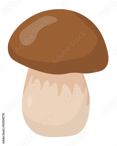 Boletus edible mushroom popular flat style, element growing in forest for education or design