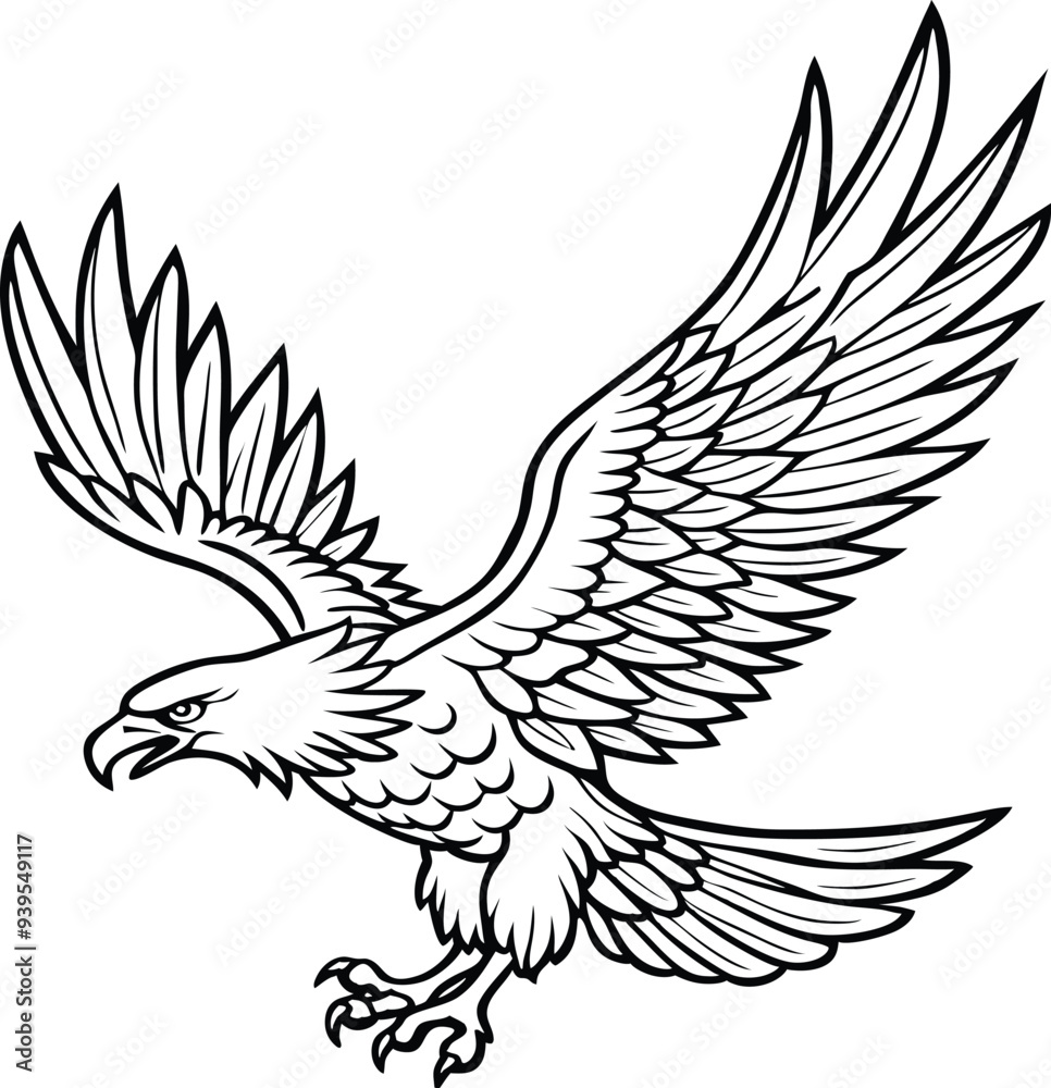 Bald Eagle flying in the sky, Alaska, USA, Silhouette, vector, illustration. Bald Eagle flying in the sky, Alaska, USA, Silhouette, vector, illustration.