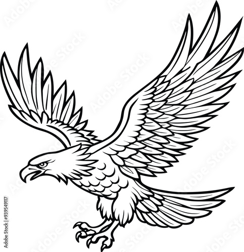 Bald Eagle flying in the sky, Alaska, USA, Silhouette, vector, illustration. photo