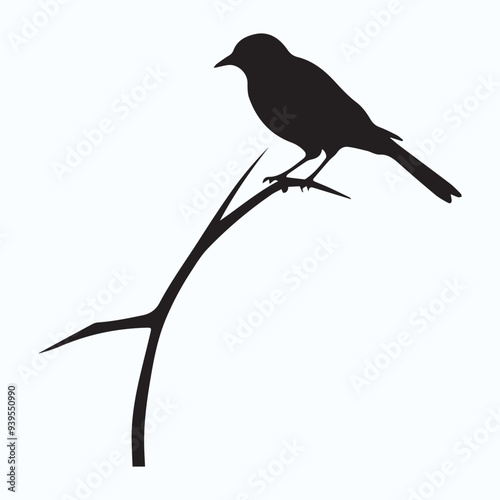 Bird Silhouette icon photo