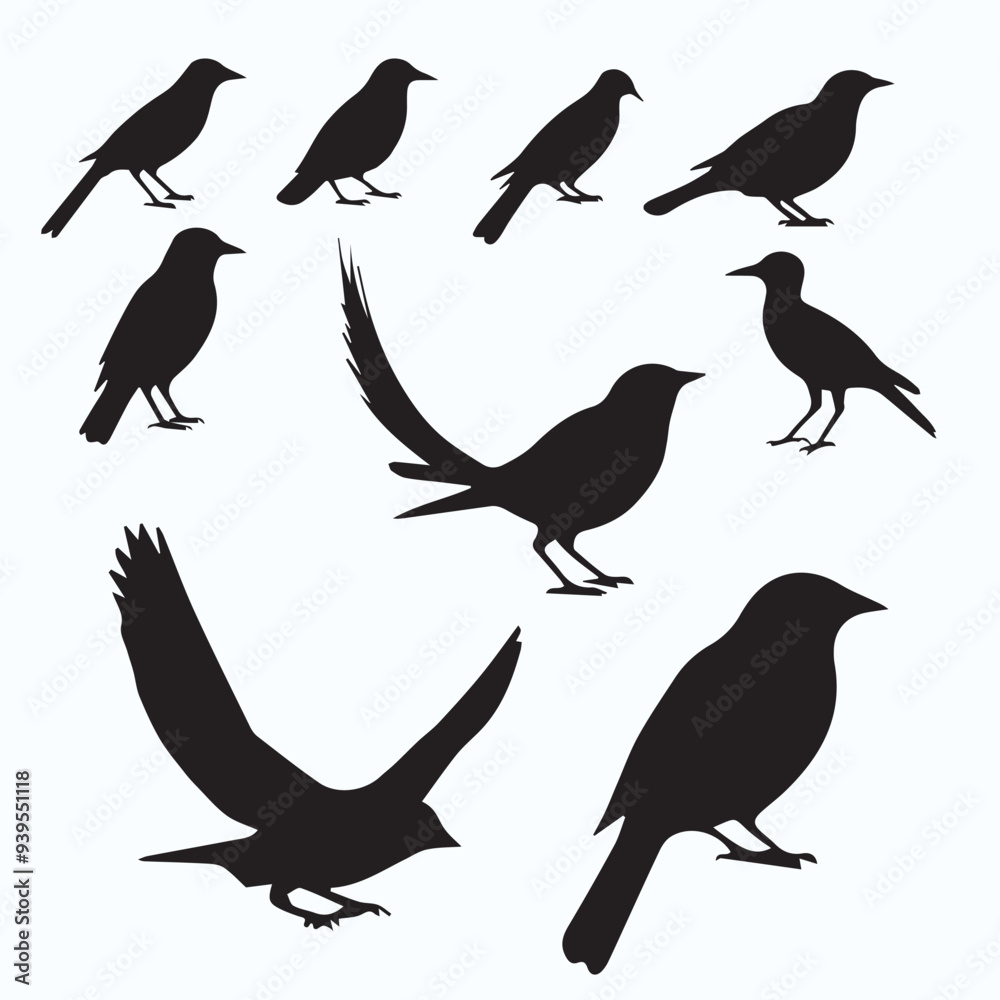Bird Silhouette icon Bird Silhouette icon