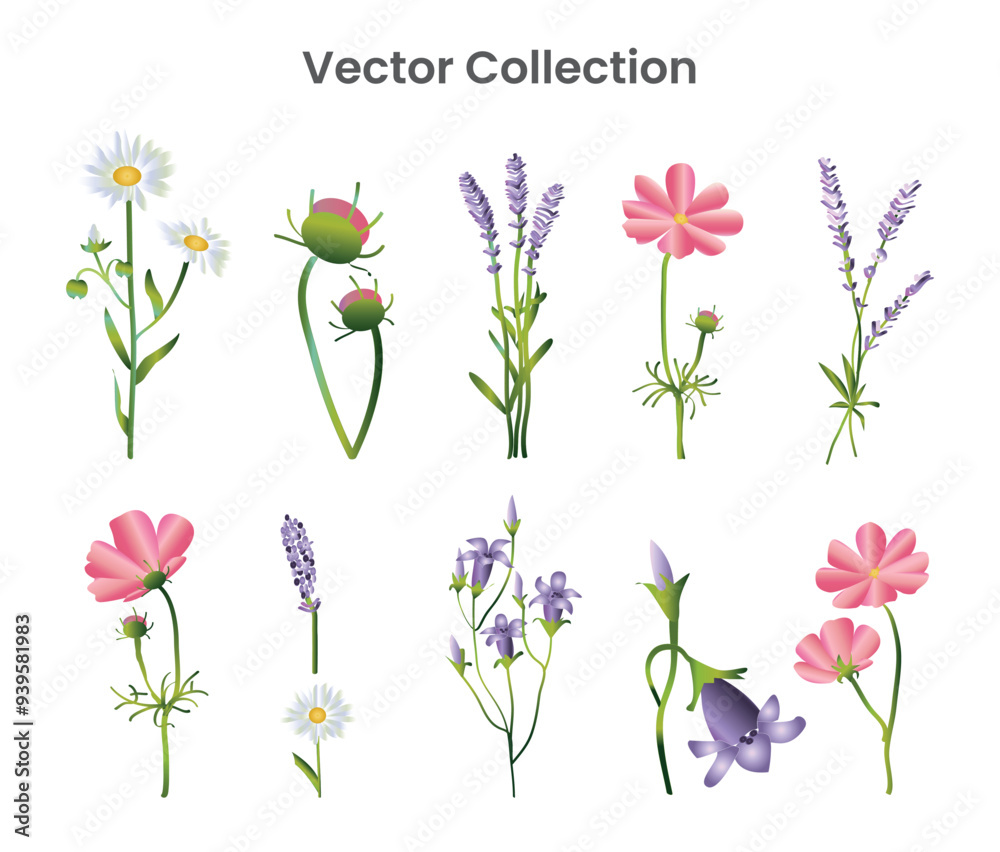 Flower Vectors Collection Vector and SVG design Flower Vectors Collection Vector and SVG design