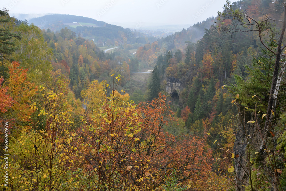 Top view of small mountains and hills covered with autumn forest in yellow-orange colors Top view of small mountains and hills covered with autumn forest in yellow-orange colors