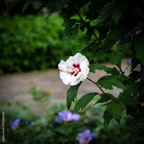 Obraz na płótnie Fleurs w salonie
