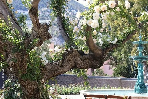 Arbre en fleurs