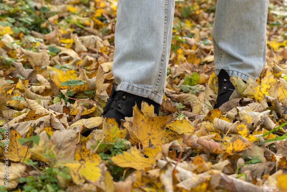 Human legs walking among fallen autumn yellow maple leaves. Woman foots standing on dry gold leafs in natural parkland. Low section of female hiking in autumn forest. Active lifestyle and relax. Human legs walking among fallen autumn yellow maple leaves. Woman foots standing on dry gold leafs in natural parkland. Low section of female hiking in autumn forest. Active lifestyle and relax.