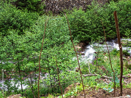 water stream in mountains in Caykara of Turkey photo