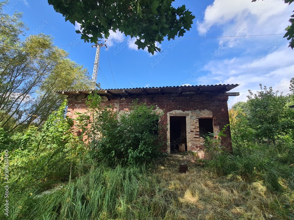 eine alte Ruine im Grünen in Martensdorf / Niepars: Mecklenburg - Vorpommern
