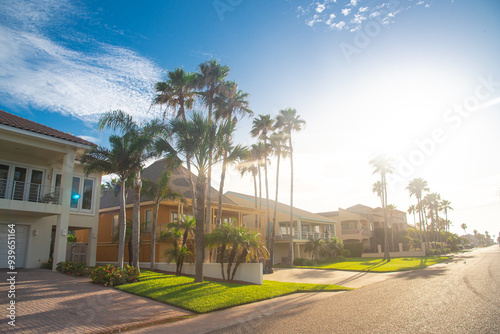 Fototapeta Naklejka Na Ścianę i Meble -  Quite street morning sunbeam on line of tall tropical palm trees, upscale two-story beach houses, porch, clay tile roofs, sunny cloud blue sky in downtown South Padres Island, travel destinations