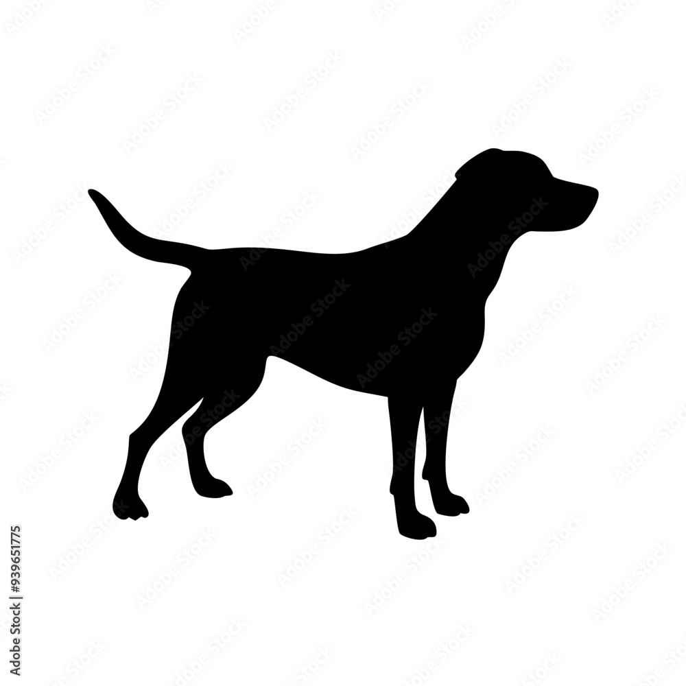 Dog Breed Silhouettes, Personalized Dog Silhouette, Dog Breed SVG,