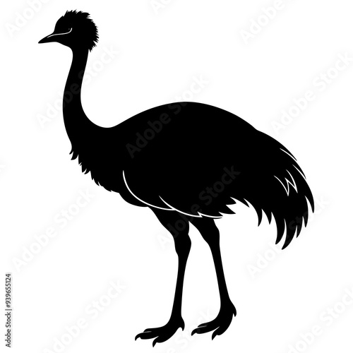 ostrich isolated on white background