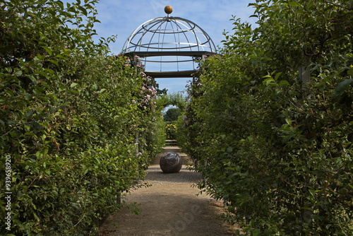 Public park Kongens Have in Copenhagen, Denmark, Europe
Public park Kongens Have in Copenhagen, Denmark, Europe
 photo