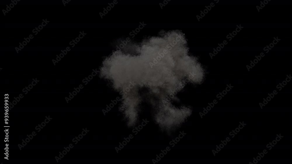 Explosion with fire and smoke, 30 fps with alpha channel for transparency. Two speeds, including slow motion so you can adjust the speed Explosion with fire and smoke, 30 fps with alpha channel for transparency. Two speeds, including slow motion so you can adjust the speed