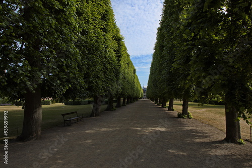 Public park Kongens Have in Copenhagen, Denmark, Europe
 photo