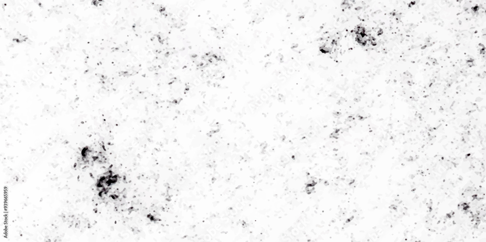 Grunge background texture black white grunge, Chaotic grunge ink particles. Abstract texture with grain and stain. Splashes of paint Grunge background texture black white grunge, Chaotic grunge ink particles. Abstract texture with grain and stain. Splashes of paint
