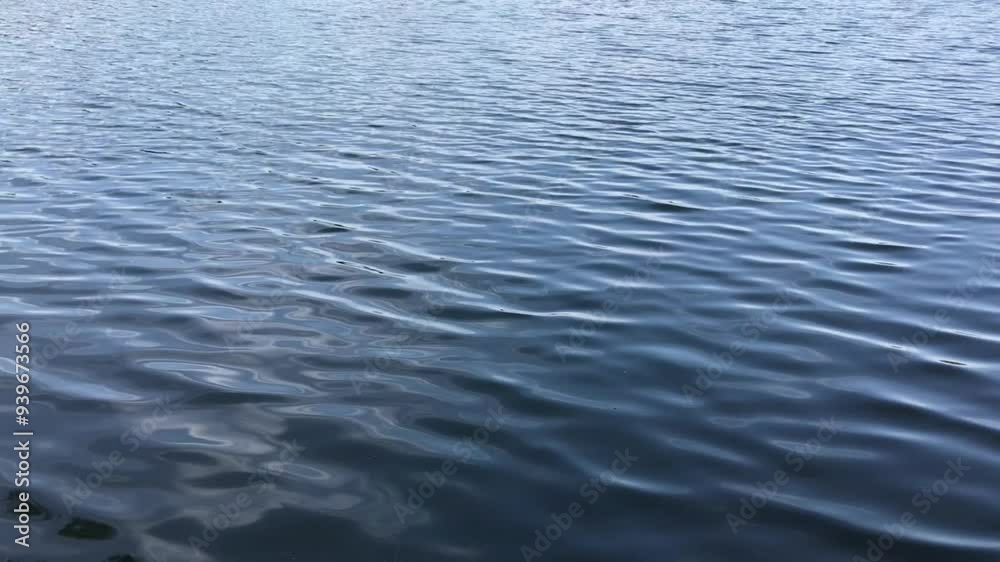 Serene Blue Water Surface Gently Rippling in a Calm Lake on a Clear Day. Close-up of Soft Waves Reflecting Sky, Creating a Tranquil and Peaceful Atmosphere in Natural Outdoor Setting Serene Blue Water Surface Gently Rippling in a Calm Lake on a Clear Day. Close-up of Soft Waves Reflecting Sky, Creating a Tranquil and Peaceful Atmosphere in Natural Outdoor Setting