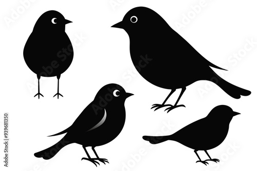 A set of beautiful birds  robin silhouette black vector art illustration photo